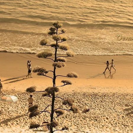 Cerca Playa Bateles Апартаменти Коніль-де-ла-Фронтера