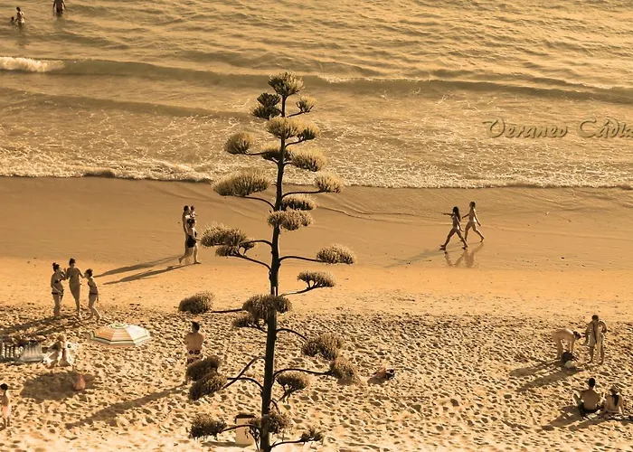Cerca Playa Bateles Apartmán Conil De La Frontera